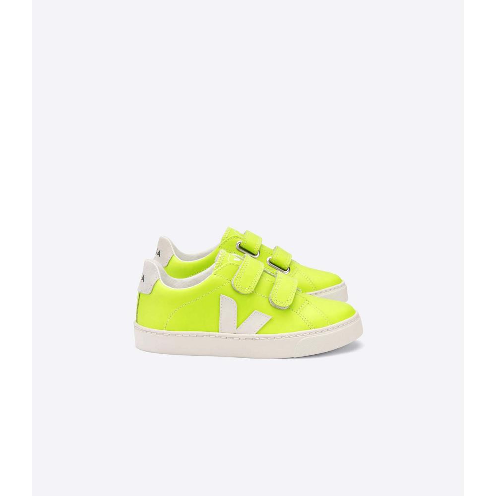 Veja ESPLAR LEATHER Kids\' Sneakers Green | NZ 822VRW